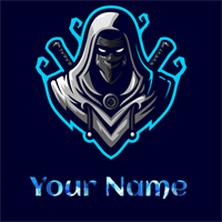 Assassin Ninja